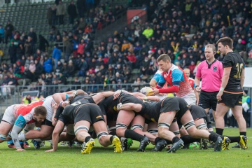 Weiteres Rugby-Länderspiel bei der RG Heidelberg